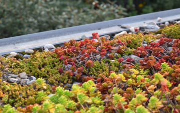 the cost of Lower Ollach green roof installation