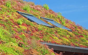 Lower Ollach living roof systems